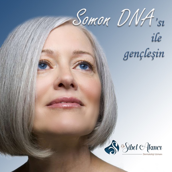Somon DNA'sı Tedavisi